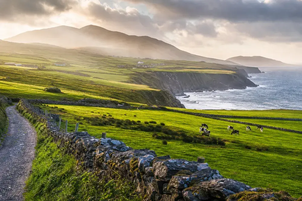Groene weiden en Atlantische kust in County Kerry, Ierland
